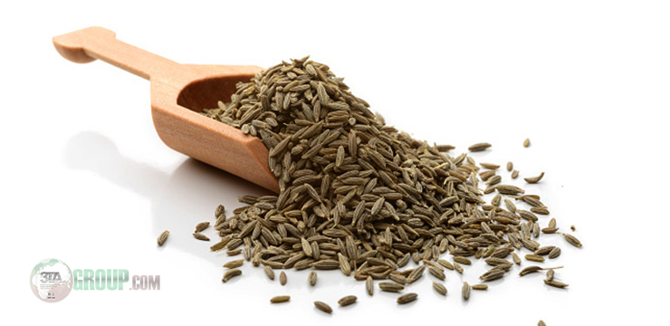 cumin supplier in iran