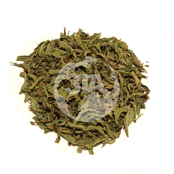 dried mint leaf