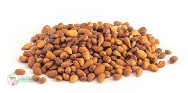 wild almond wholesale price